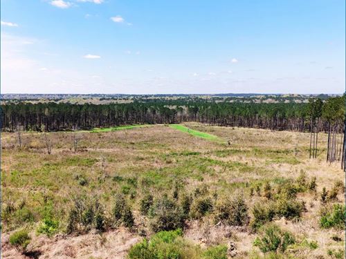 284.9 Acres in Franklin County : Meadville : Franklin County : Mississippi