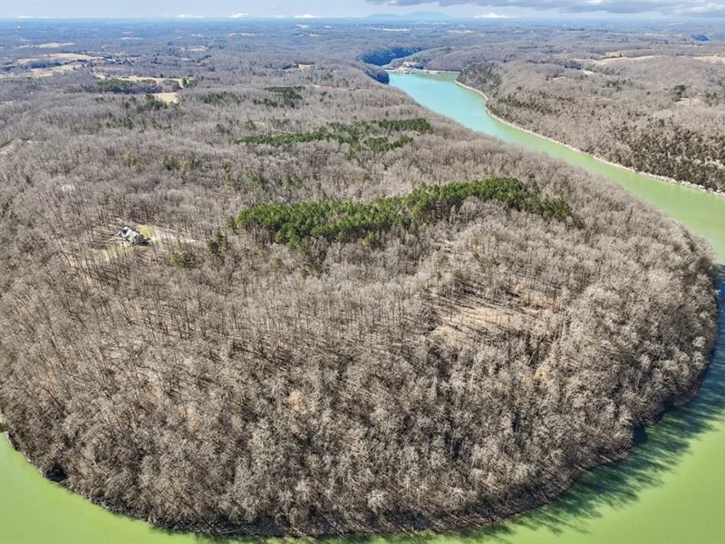 Forested Lot in Dekalb County TN : Smithville : DeKalb County : Tennessee