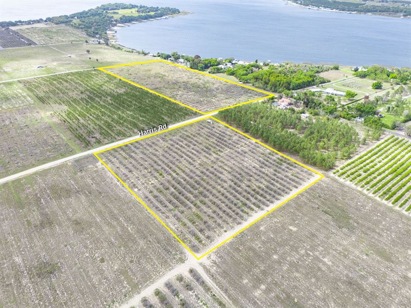 Crooked Lake Acreage : Babson Park : Polk County : Florida