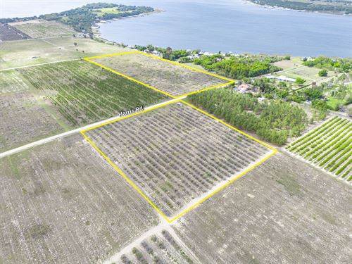 Crooked Lake Acreage : Babson Park : Polk County : Florida