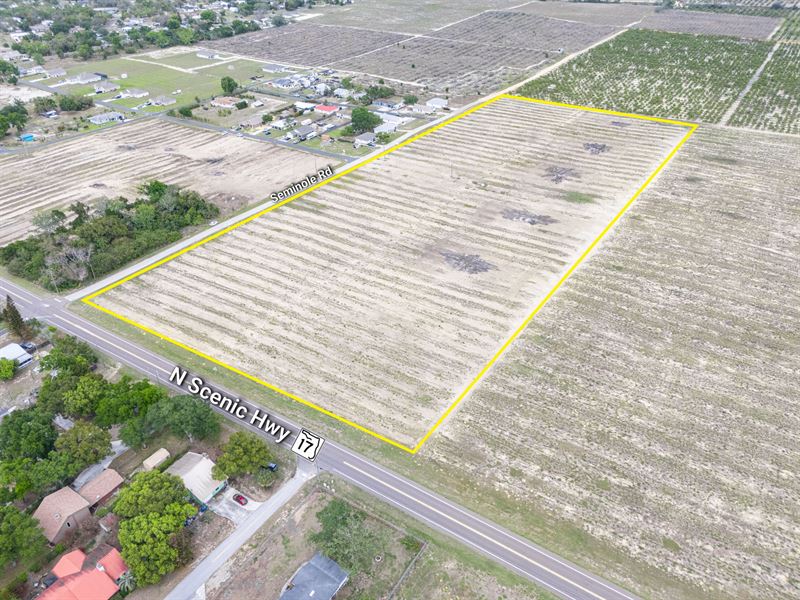 Scenic Highway Farm and Homesite : Babson Park : Polk County : Florida