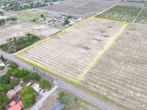 Scenic Highway Farm and Homesite : Babson Park : Polk County : Florida