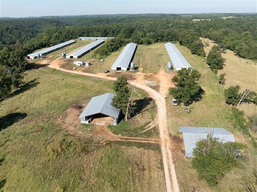 Turkey Farm in SW Missouri : Seligman : Barry County : Missouri
