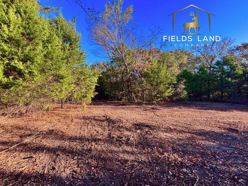 5 Acre Parcel in Eastern OK : Henryetta : Okmulgee County : Oklahoma