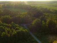 152+/- Acres with Timber : Red Boiling Springs : Macon County : Tennessee