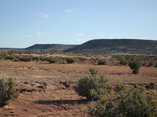 36 Acres Borders State Trust Land : Saint Johns : Apache County : Arizona