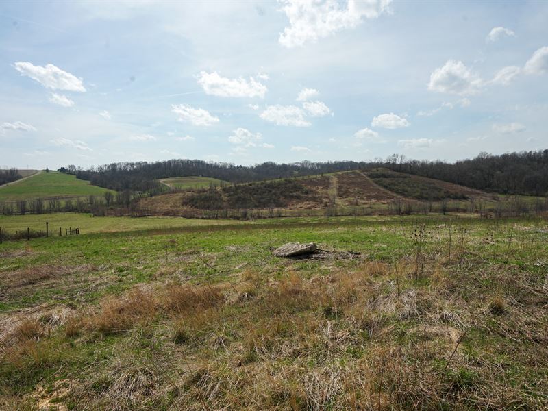 Perine Rd 5 : Zanesville : Muskingum County : Ohio