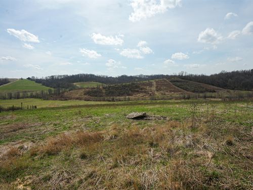 Perine Rd 5 : Zanesville : Muskingum County : Ohio