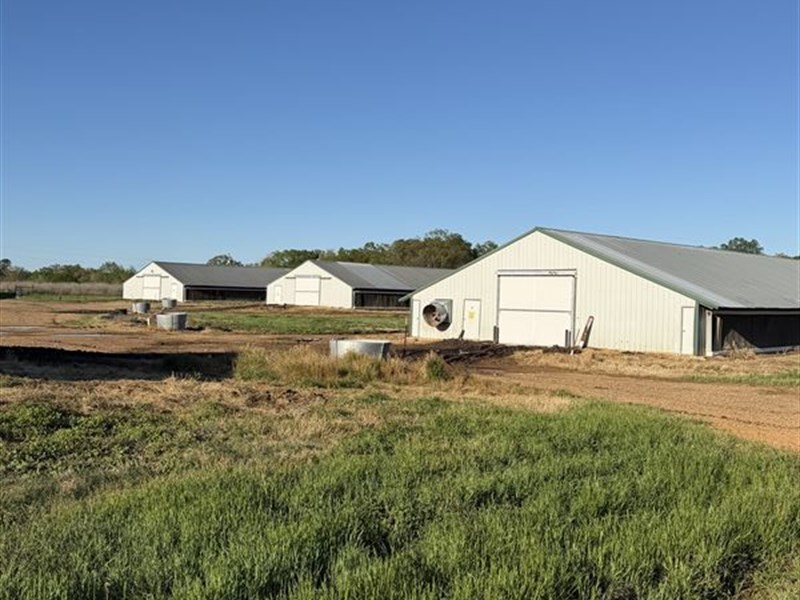 6 Broiler Poultry Farm : Lockesburg : Sevier County : Arkansas