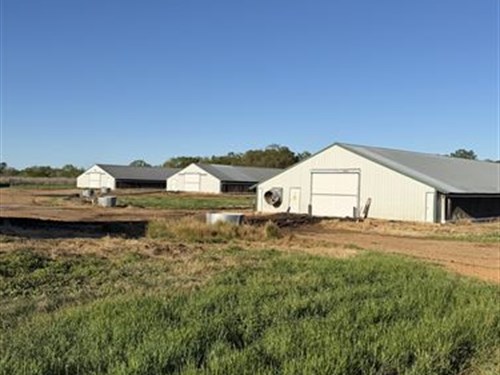 6 Broiler Poultry Farm : Lockesburg : Sevier County : Arkansas