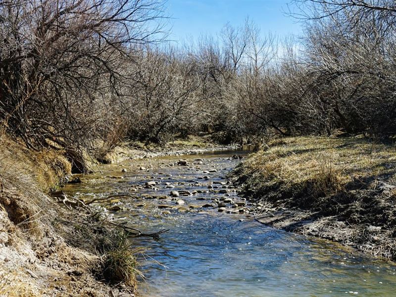 161 Colorado Land & Livestock Unit : Walsenburg : Huerfano County : Colorado