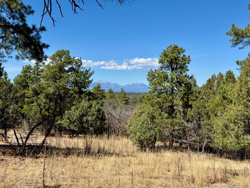 34999 Timber Park Drive Pkwy 7B/D51 : Trinidad : Las Animas County : Colorado