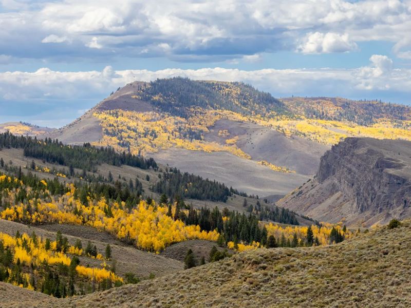 Wescott Ranch : Hot Sulphur Springs : Grand County : Colorado
