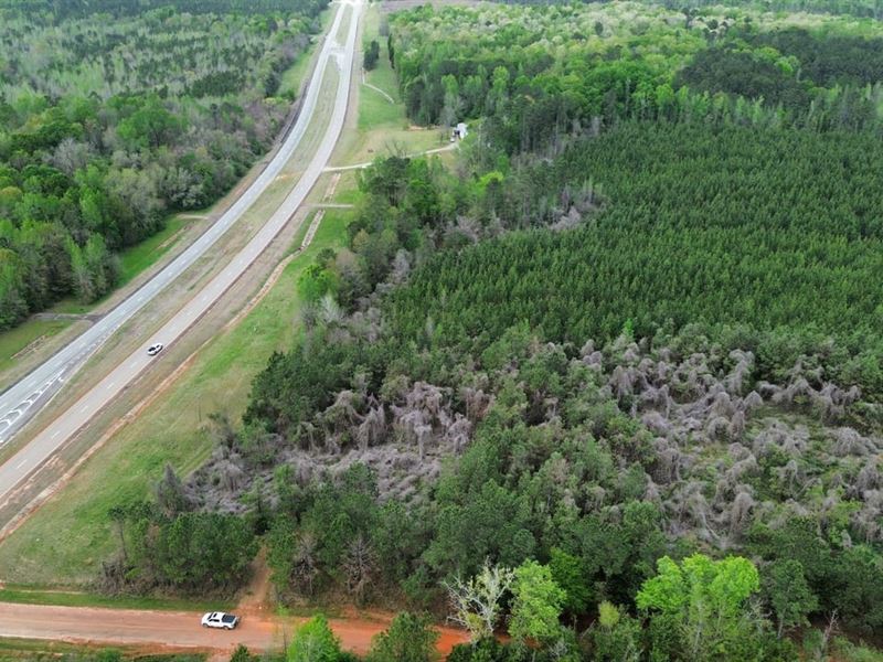 31 Acres Randolph County GA : Cuthbert : Randolph County : Georgia
