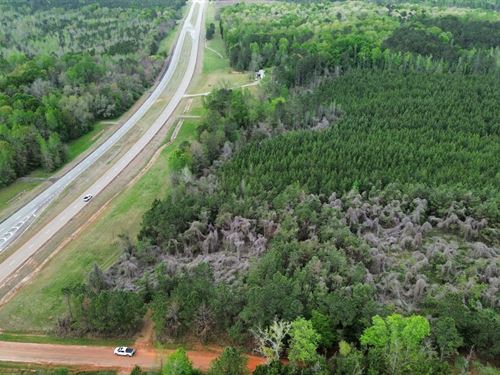 31 Acres Randolph County GA : Cuthbert : Randolph County : Georgia