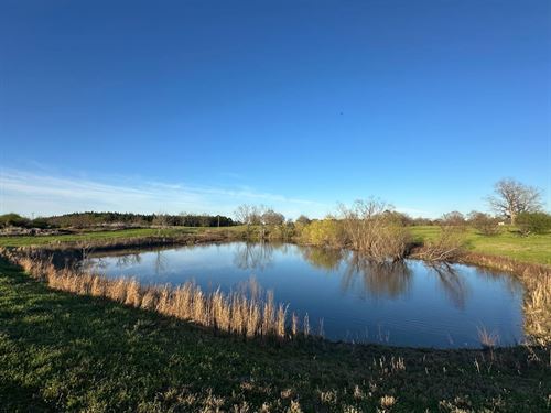 Peach Orchard Tract, 66 Acres in Ch : Billingsley : Chilton County : Alabama