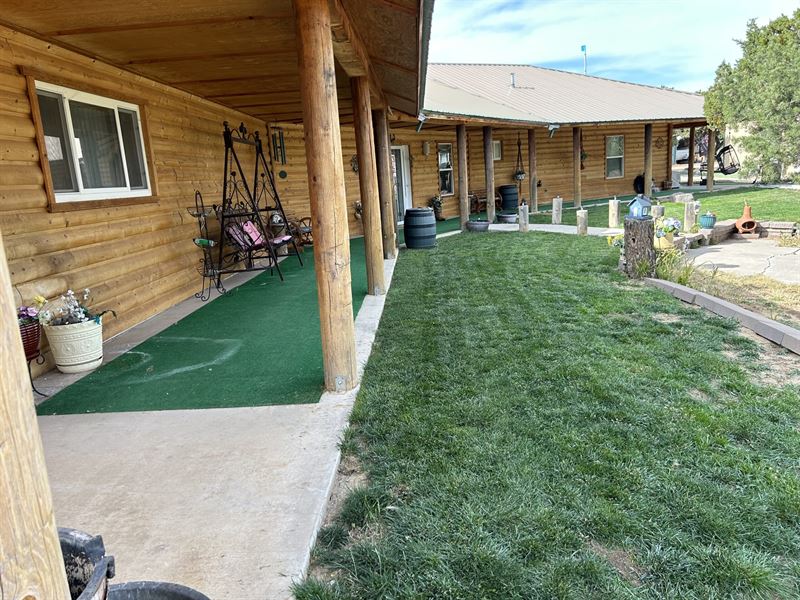 Shadow Canyon's Elk Paradise : Fence Lake : Cibola County : New Mexico