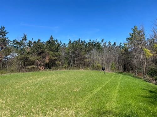 208 Acres in Union County, MS : Blue Springs : Union County : Mississippi