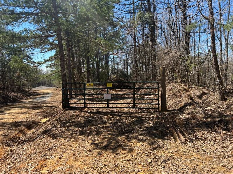 196 Acres Union County, MS : Dumas : Union County : Mississippi