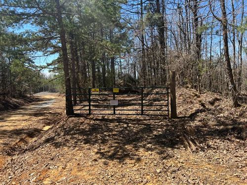 196 Acres Union County, MS : Dumas : Union County : Mississippi