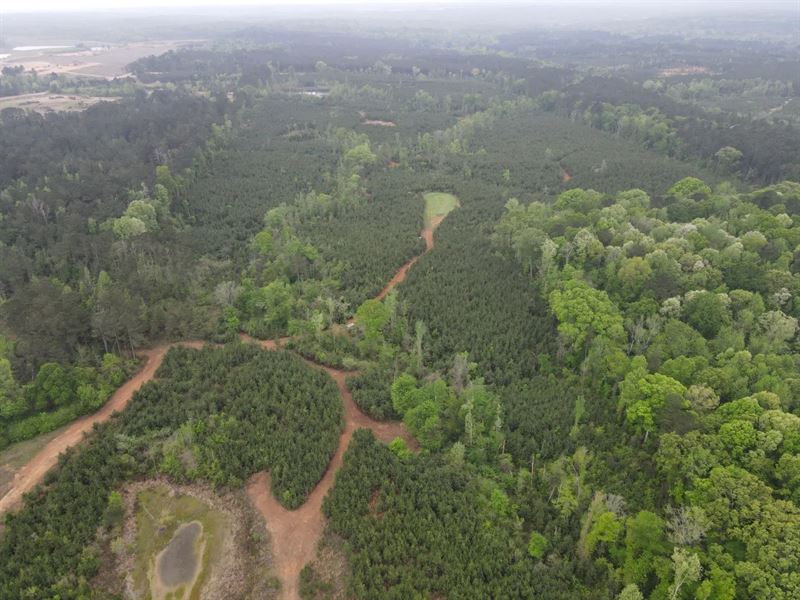 101.92 Acres in Copiah County, MS : Crystal Springs : Copiah County : Mississippi