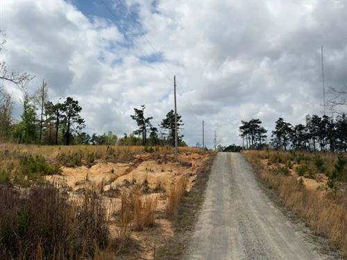 5 Acres in Drew County, AR : Monticello : Drew County : Arkansas