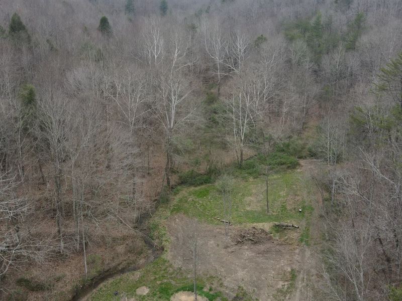69.01 Acres with a Cabin in Scott : Helenwood : Scott County : Tennessee