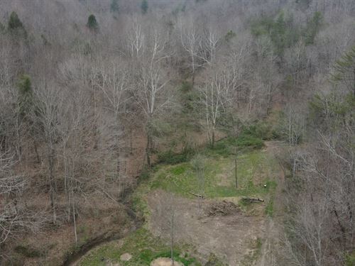69.01 Acres With a Cabin in Scott : Helenwood : Scott County : Tennessee