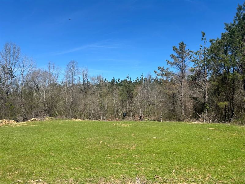 69.3 Acres in Pontotoc County, MS : Pontotoc : Pontotoc County : Mississippi