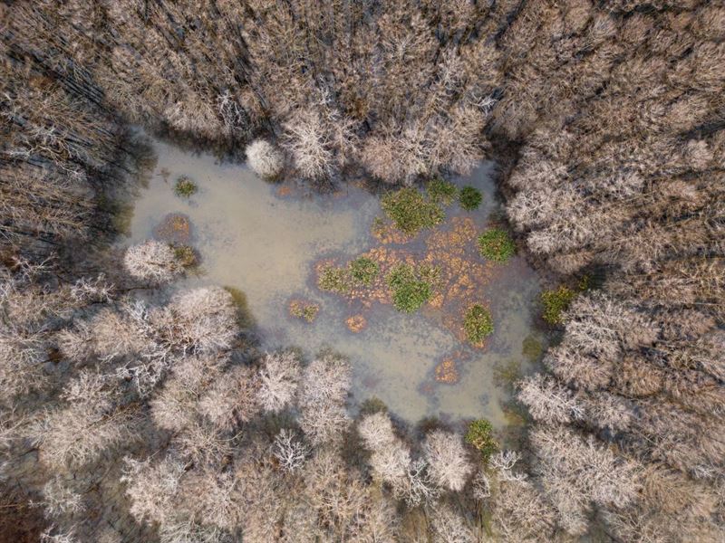 One Equity Share with a Camper : Lorman : Jefferson County : Mississippi