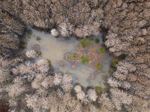 One Equity Share With a Camper : Lorman : Jefferson County : Mississippi