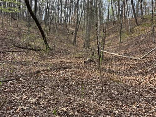 39.3 Acres in Hamilton County, TN : Sale Creek : Hamilton County : Tennessee