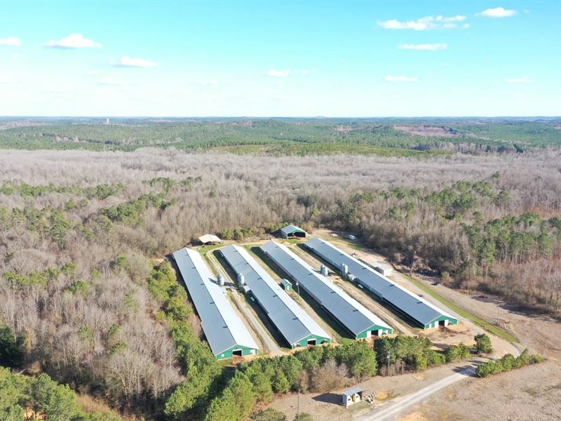 D&D Broiler Farm : Gordo : Pickens County : Alabama