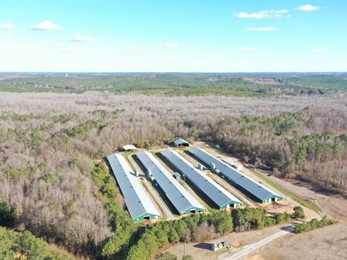 D&D Broiler Farm : Gordo : Pickens County : Alabama