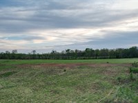 Langtown Mini Farm, 11 Acres LA : Moulton : Lawrence County : Alabama