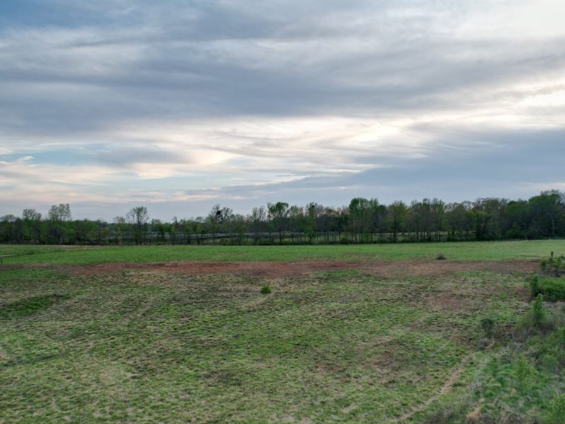 Langtown Mini Farm, 11 Acres LA : Moulton : Lawrence County : Alabama