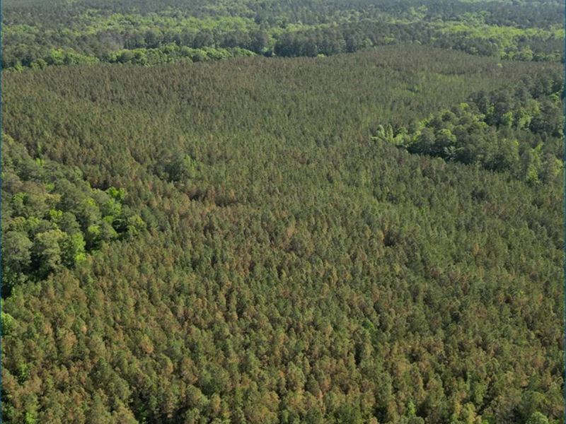 80 Acres in Choctaw County in Acker : Ackerman : Choctaw County : Mississippi