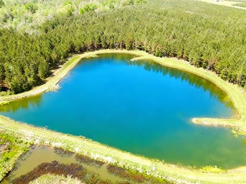 Gin Creek Tract-80 Acres : Rutledge : Crenshaw County : Alabama