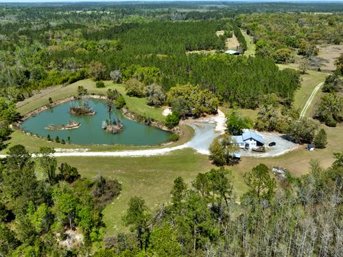 Brooks County Timberland : Quitman : Brooks County : Georgia