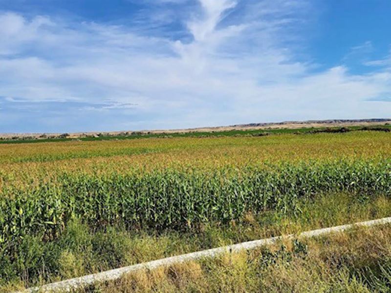 Masters Irrigated Farm : Powell : Big Horn County : Wyoming