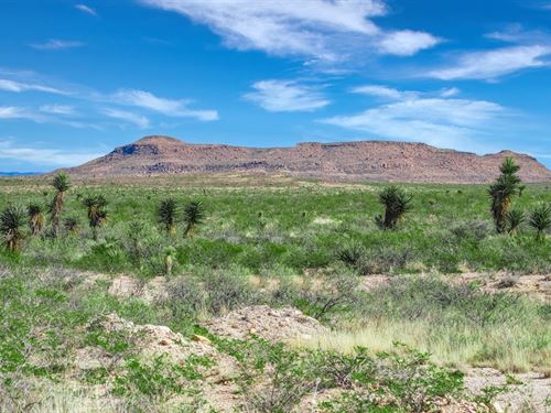 28 Acs. Over 1/2 Mile Rd. Frontage : Sierra Blanca : Hudspeth County : Texas