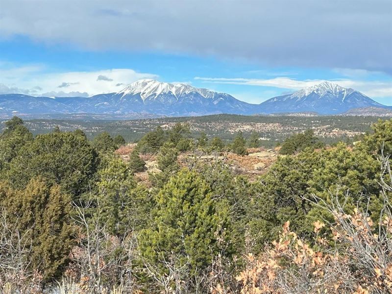 Primero Ranch Road, Weston, CO 810 : Weston : Las Animas County : Colorado