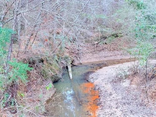 42 Acres, Busy Corner Rd, Amite : Gloster : Amite County : Mississippi