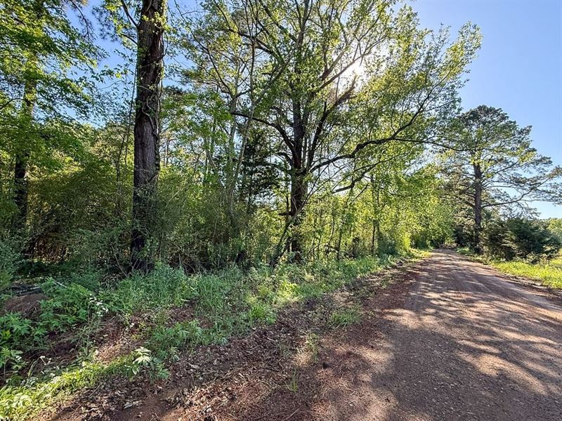 34 Acres, Flat Road : Milam : Sabine County : Texas