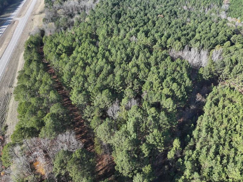 6.14 Acres in Pickens County, AL : Ethelsville : Pickens County : Alabama