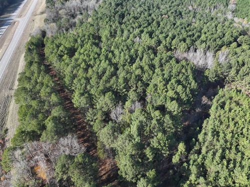 6.14 Acres in Pickens County, AL : Ethelsville : Pickens County : Alabama