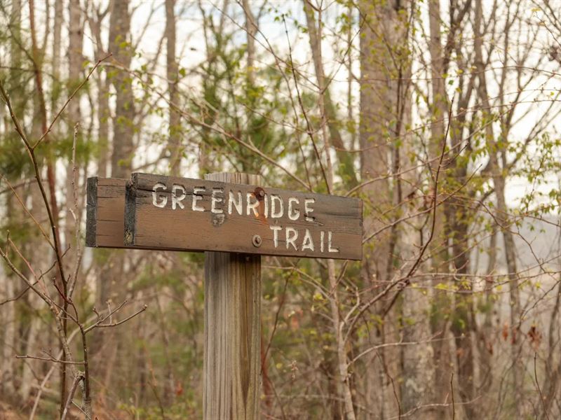 615 Acres in Morgan County, TN : Oakdale : Morgan County : Tennessee