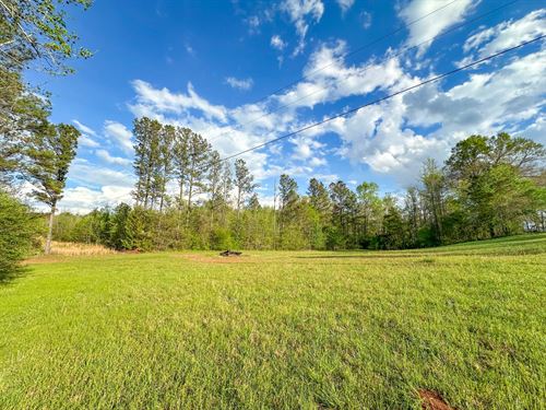 24 Acres in Oak Bowery, Homestea : Lafayette : Chambers County : Alabama