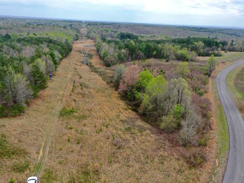 20 Acres Outside Florence : Florence : Lauderdale County : Alabama