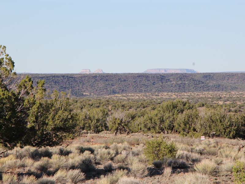 Seller Financing : Saint Johns : Apache County : Arizona